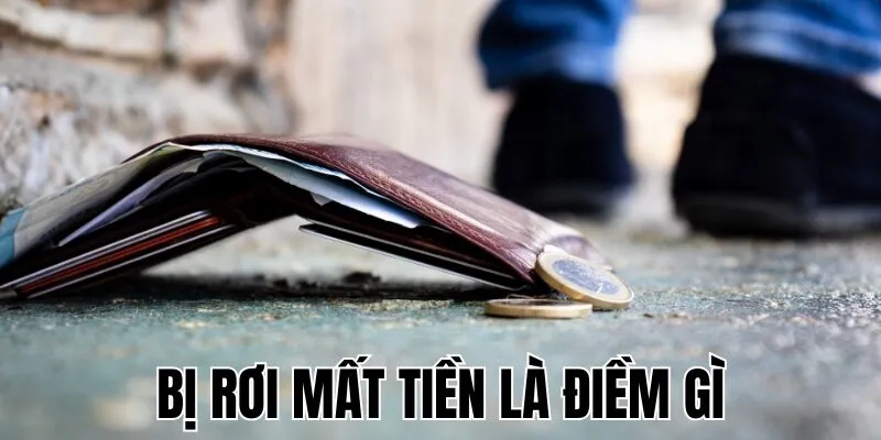 Bị Rơi Mất Tiền Là Điềm Gì