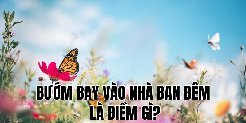 Bướm Bay Vào Nhà Ban Đêm Là Điềm Gì?