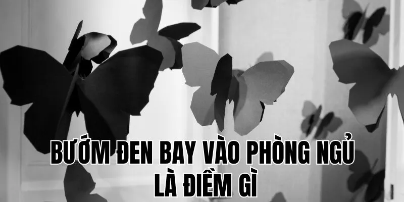 Bướm Đen Bay Vào Phòng Ngủ Là Điềm Gì