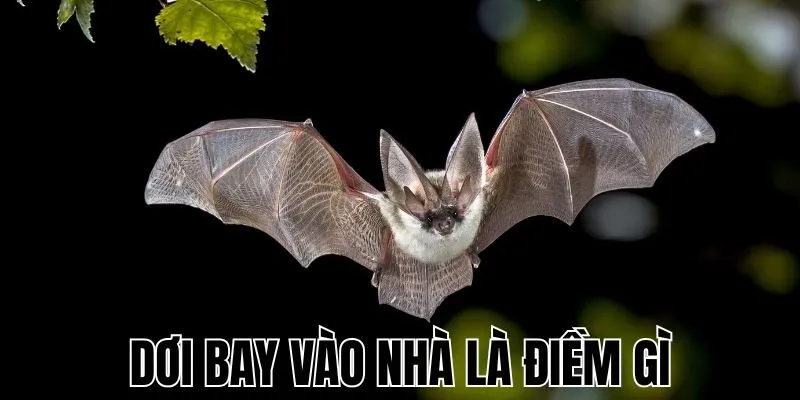 doi-bay-vao-nha-la-diem-gi