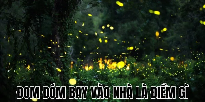 Đom Đóm Bay Vào Nhà Là Điềm Gì