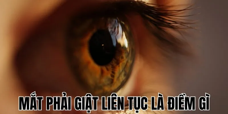 Mắt Phải Giật Liên Tục Là Điềm Gì