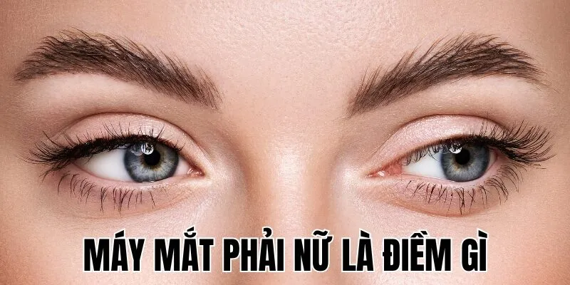 Máy Mắt Phải Nữ Là Điềm Gì