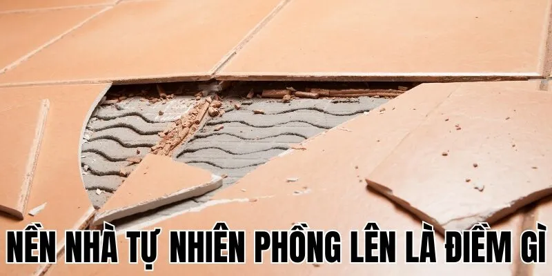 Nền Nhà Tự Nhiên Phồng Lên Là Điềm Gì
