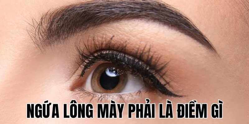 Ngứa Lông Mày Phải Là Điềm Gì