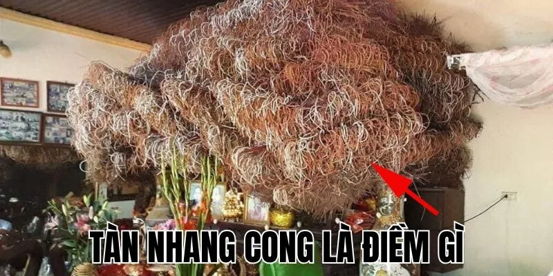 Tàn Nhang Cong Là Điềm Gì